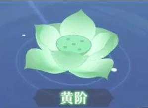 长安幻想灵阶是什么？1